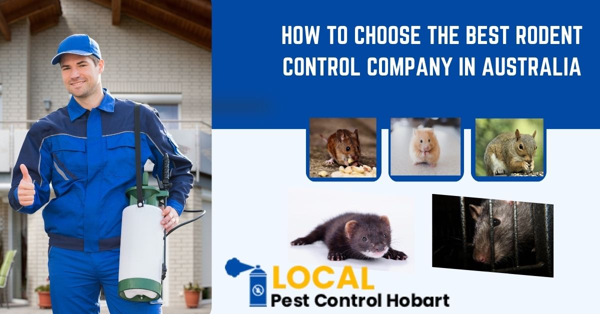 Rodent Control Company in Australia